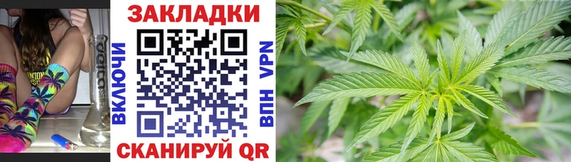 Купить наркотик Дубовка МЕГА зеркало  Кокаин  APVP  Меф мяу мяу  Каннабис 
