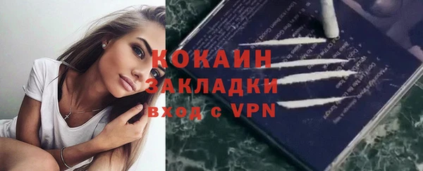 тгк Дмитриев