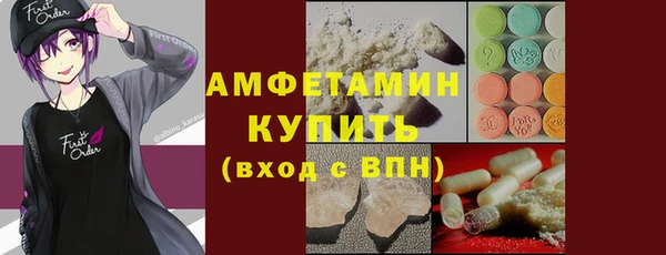 тгк Дмитриев