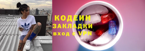 тгк Дмитриев