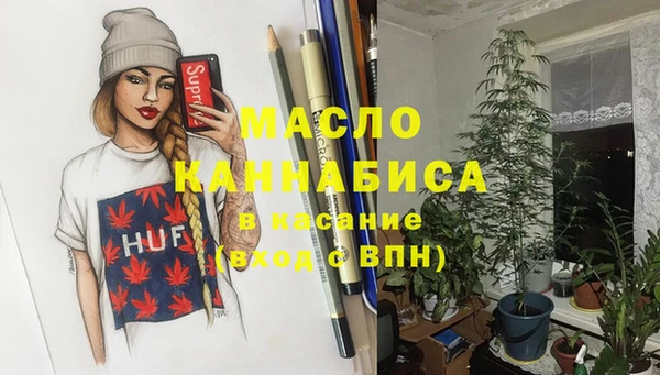 тгк Дмитриев