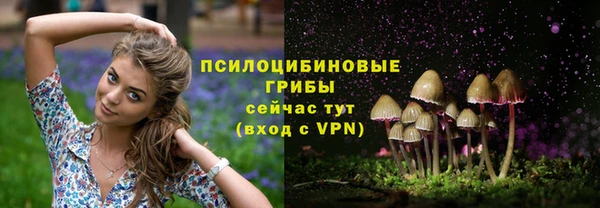 тгк Дмитриев